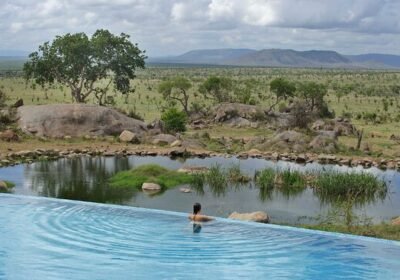 What to Expect from a Safari Lodge in Africa