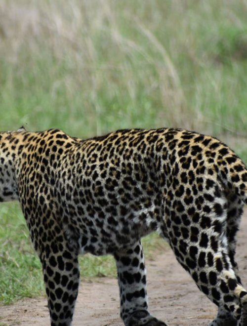 Group Adventure Holiday – 7 Days