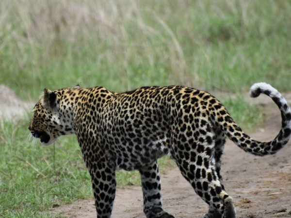 Group Adventure Holiday – 7 Days